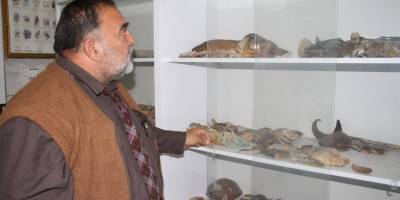 Türkiye iç sularına nasıl girdiği bilinmiyor, kilosuna göre havyarı 20 milyon liraya alıcı buluyor