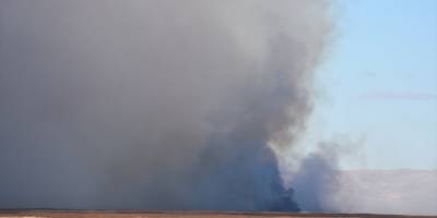 Eber Gölü çevresindeki sazlık alanda yangın çıktı