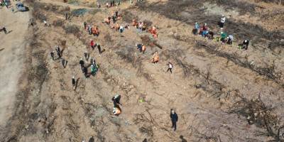 Bodrum'da "Milli Ağaçlandırma Günü"nde fidanlar toprakla buluştu