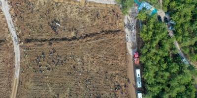 İzmir, Aydın ve Manisa'da binlerce fidan toprakla buluşturuldu