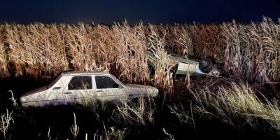 Zincirleme kazada çarpışan araçlar mısır tarlasına uçtu