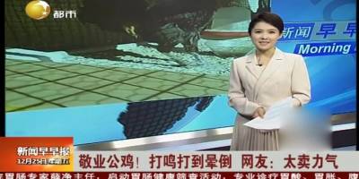 Öterken bayılan Denizli horozu, Japonya'da gündem oldu