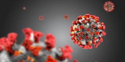 KKTC’de son 24 saatte 69'u yerel 80 yeni vaka