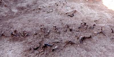 Roma döneminden kalma kapı çivileri bulundu