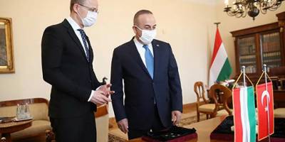 Macaristan'da ele geçirilen Türkiye'ye ait tarihi eserler Çavuşoğlu'na teslim edildi