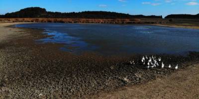 Kuş cenneti Yayla Gölü kuruma noktasına geldi