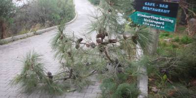 Bodrum’da fırtına kabusu