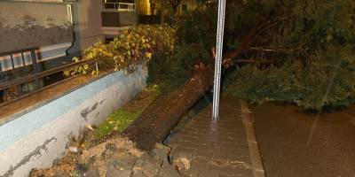 Balıkesir'de lodos yıktı, geçti