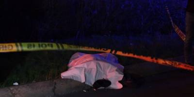 TEM Otoyolu’nda yolun karşısına geçmek isteyince canından oldu