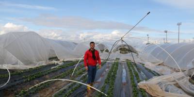 Antalya’da şiddetli fırtına çilek seralarını vurdu