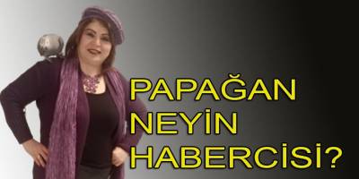 Yeliz Tunç'un elinde nasıl bilgi, belge var? CHP camiasından kimler peşinde?