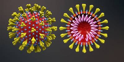 "Suratın korona virüse benziyor" dedi, davalık oldu