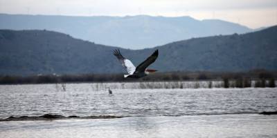 Yağmurlar, kuraklığın etkilediği Bafa Gölü'ne yaradı