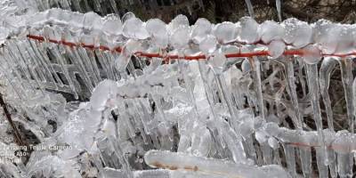 Ağaçta buz sakırtıları oluştu