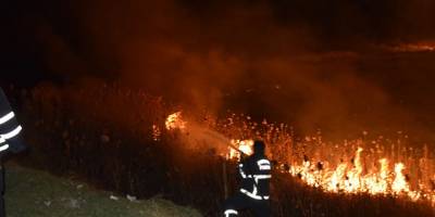 Burdur Gölü kıyısında sazlık yangını