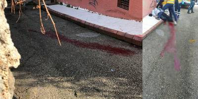 Cep telefonunu gasp etmeye çalışan şahsı öldüren zanlı tutuklandı