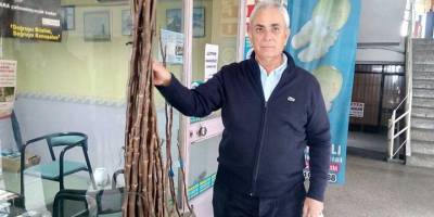 Hırsızın rahatlığı pes dedirtti