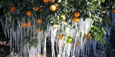 Meteorolojiden çığ, buzlanma ve don uyarısı
