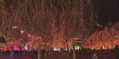 Çin’de Fener Festivali renkli görüntüler oluşturdu