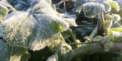 Sıcaklık sıfırın altına düştü, araçların camları buz tuttu