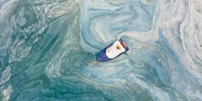 Marmara'da yeniden müsilaj beklenmiyor