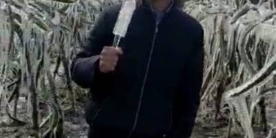 Adanalı üreticiye buz sarkıtı şoku