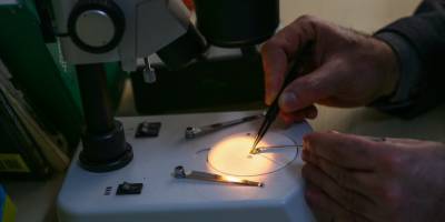 İzmir'de keşfedilen yeni bitki türü bilim dünyasına kazandırıldı