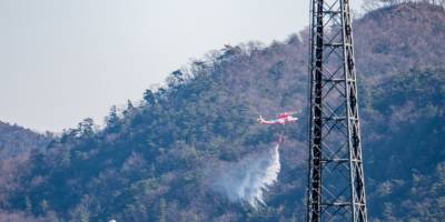 Japonya'daki orman yangını kontrol altına alındı