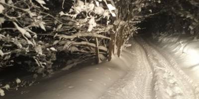 Bursa'da mangal yapmak için gittikleri ormanlık alanda kar nedeniyle mahsur kalan 5 kişi ekipler tarafından kurtarıldı