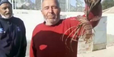 Zehirli Aslan Balığı Kuşadası’nda yakalandı