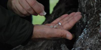 “Çeşme sakızı, ağızda sakız olmasın”