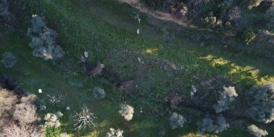 Kaybolan Alzheimer hastasını drone ile buldular