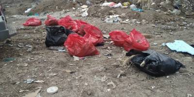 Başkent’te köpek katliamı