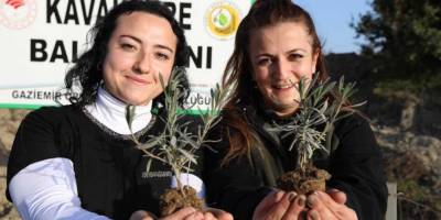 Bu ormandan bal damlayacak, köylüye gelir olacak