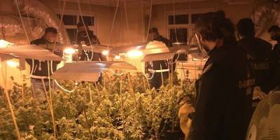 Avcılar'da narkotik operasyonu: 1 milyon TL'lik uyuşturucu serası bulundu