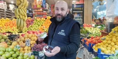 Yaz meyveleri tezgahtaki yerini aldı