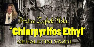 Cehaletin hangisine yanayım?