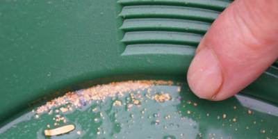 Buz gibi suda altın avı