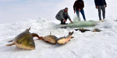 Erzincan’da nisandan haziran ayının sonuna kadar sazan avı yasaklandı