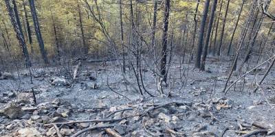 Bursa'daki orman yangını 18 saatlik müdahalenin ardından kontrol altına alındı