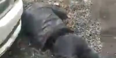 Darp edip başını ezmeye çalışmışlardı: 2 kişi gözaltına alındı