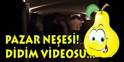 Twitter sallanıyor! 'Pazar Neşesi' kıvamında Didim videosu!