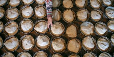 Germiyan ekmeğinin sırrı asırlık mayasında saklı