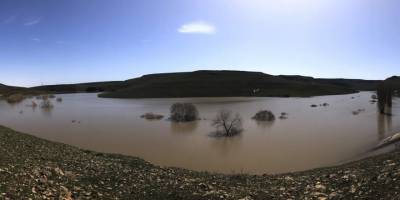 Kars’ta ağaçlar baraj suyu altında kaldı