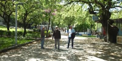 Balıkesir’de tarihi meşe ağaçlarının yeşillenmesi ile renk cümbüşü yaşanıyor