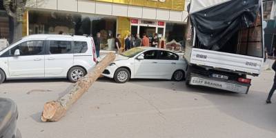 Kamyonun üzerinden düşen tomruk üç aracı ezdi