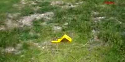 Hayvan otlatma kavgası kanlı bitti: 1 ölü