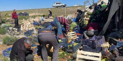 Sebze yüklü kamyon lavanta tarlasına devrildi