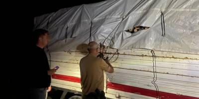 Meşe ağaçlarını kesen şahsa suçüstü