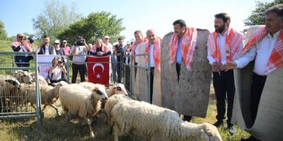 Bergama’da hayvan otlatma sezonu açıldı